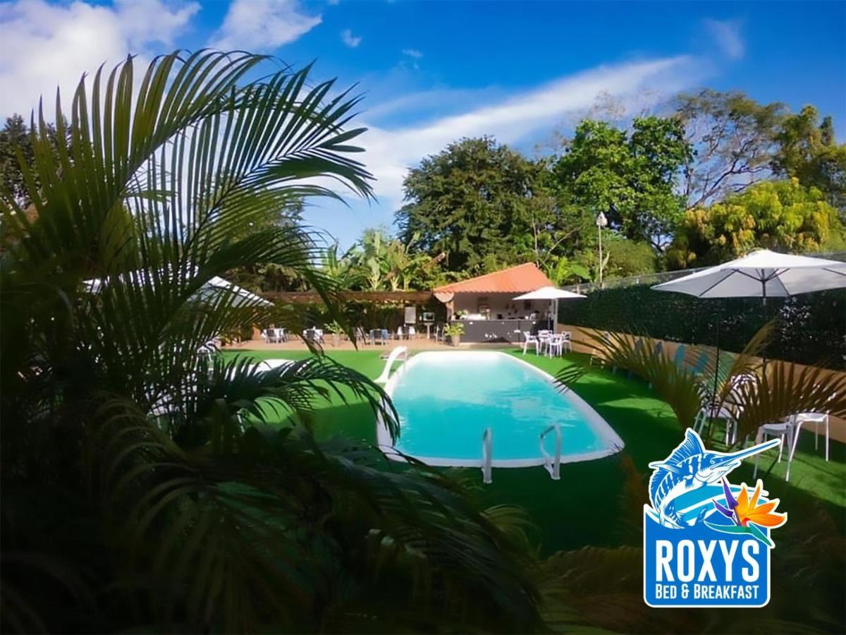 Roxy'S Bed & Breakfast ボカ・チカ エクステリア 写真
